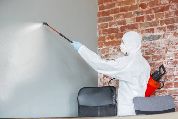 Best Air Quality Testing for Mold Spores  in Pooler, GA