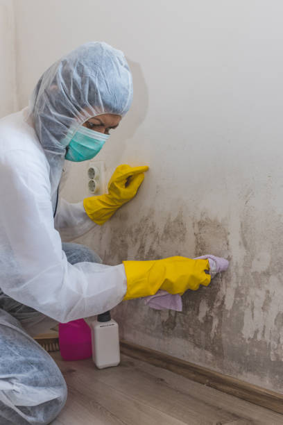 Best Mold-Related Health Consultation  in Pooler, GA