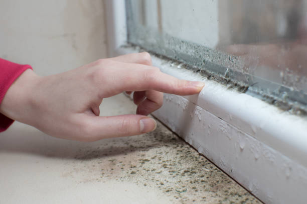 Best Mold Documentation for Insurance Claims  in Pooler, GA